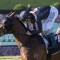 Top jockey secured for Royal assignment
