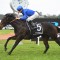 Starlight Stakes a dartboard job for punters
