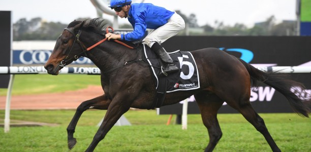 Starlight Stakes a dartboard job for punters
