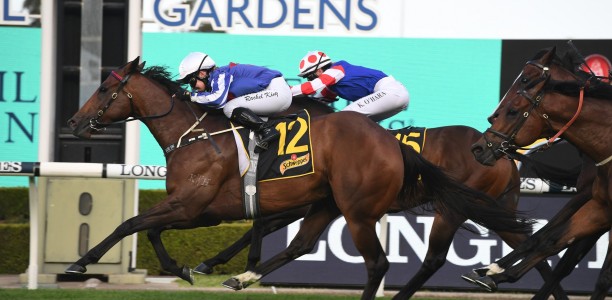 Pregnant mare Salute’s in the Starlight Stakes