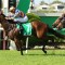 Winning Rupert Plate