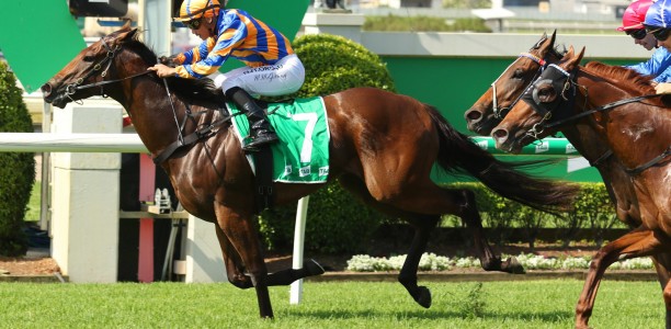 Winning Rupert Plate