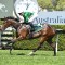 Enthaar dominates the early betting on the Blue Diamond Stakes
