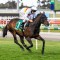 New Cranbourne training team on fire