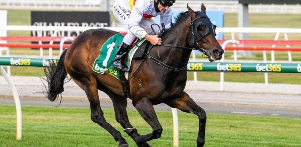 New Cranbourne training team on fire