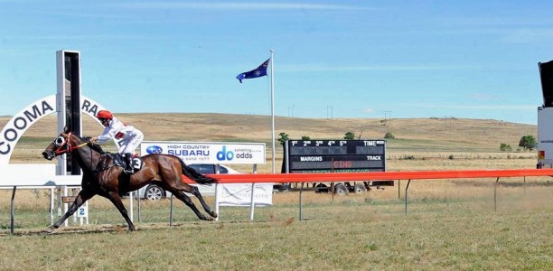 Cooma Cup Field – 2020