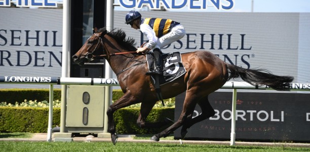 Punters struggling to work out the Pakenham Cup