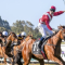 Truly Great favourite for Perth Cup