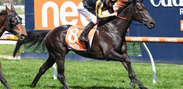 Nonconformist sets sights on the Australian Cup