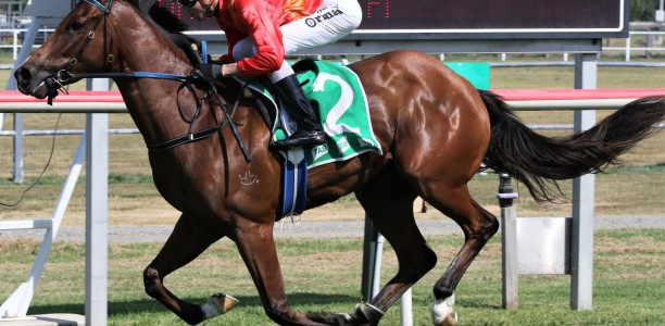 Record breaker ready for city test at Doomben