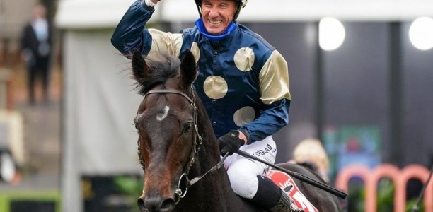 Sir Dragonet targets rich Sydney race