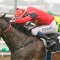 Ronnie Stewart one of Queensland’s most under rated jockeys
