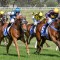 Are Racing Australia and RV on a collision course?