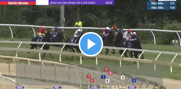 Wyong Magic Millions Stakes results and replay – 2020