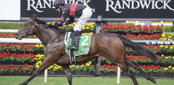 Game on between star fillies in the Gold Edition Plate