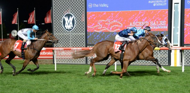 Punters left furious with Terry Bailey