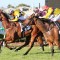 Punters waiting for a Mate in the Lough Neagh Stakes