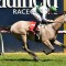 Terbium to be given another shot at Melbourne
