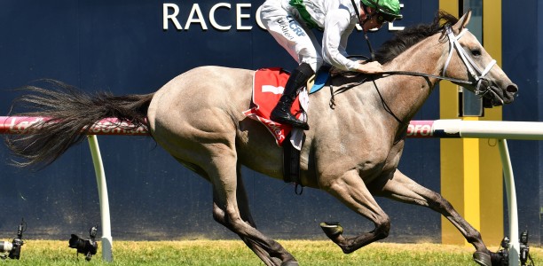 Terbium to be given another shot at Melbourne