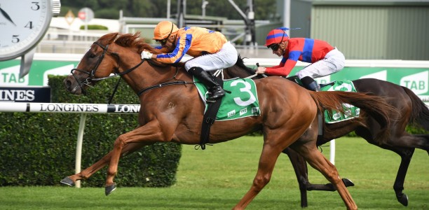 Star Group One winner retired