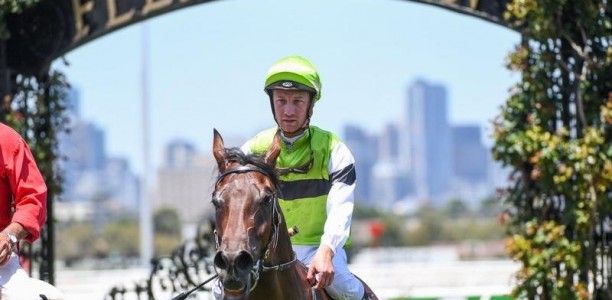 Beltoro on trial for Australian Guineas