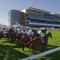 Crowds shut out from Boxing Day races at Randwick