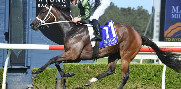 Magic Millions Classic odds get a shake-up