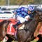Perth Cup a wait and see for Melbourne raider