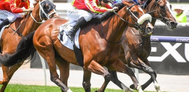 Raymond’s winning ways with Wentwood