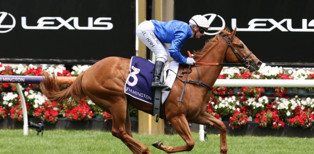 Impressive debut winners shorten for the Golden Slipper
