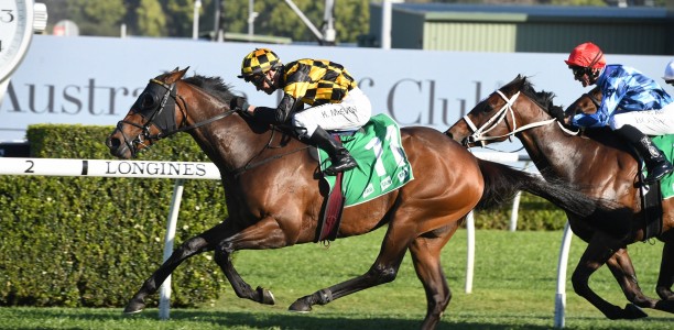 Star NZ mare to target the All Star Mile