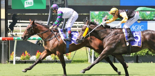 Quality field set to contest the Aquis Gold Nugget
