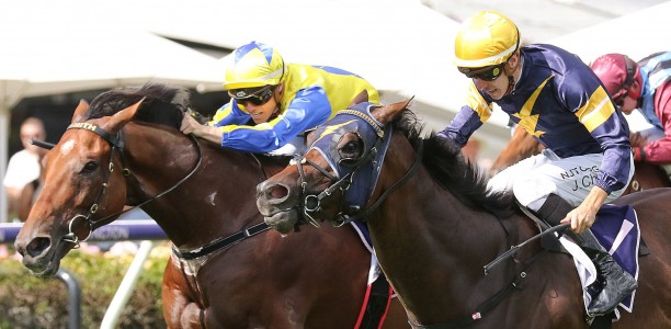 Chester Manifold Stakes punters are Riding The Wave
