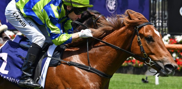 Abseiler earns shot to emulate sire in Blue Diamond Stakes