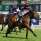 Defibrillate emerges as an Adelaide Cup contender