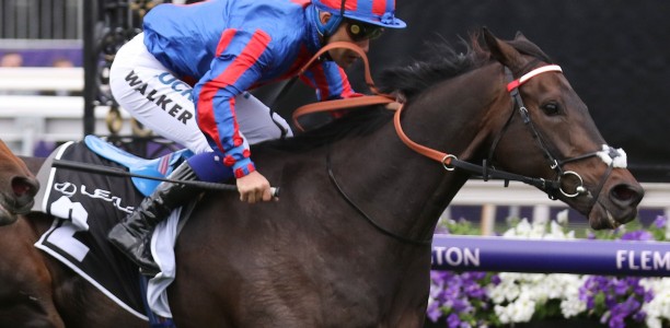 Melbourne Cup hero prepares for racing return