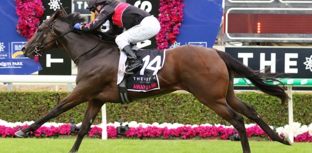 Likely Magic Millions Guineas Field – 2021