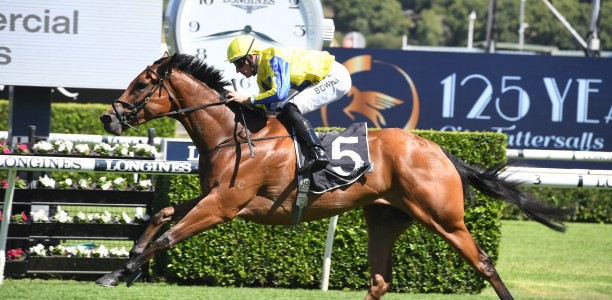 Punters quick to back Melbourne raider in Magic Millions Fillies and Mares