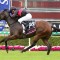 Magic Millions heroes at the Gold Coast