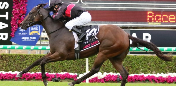 Magic Millions heroes at the Gold Coast