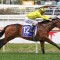 Magic Millions Classic horse scratched from field