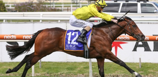 Magic Millions Classic horse scratched from field