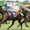 Magic Millions Classic 2021 – Facts and Figures