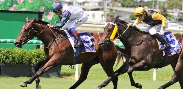 Magic Millions Classic 2021 – Facts and Figures