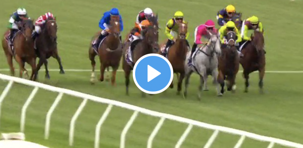 Kensington Stakes results and replay – 2021