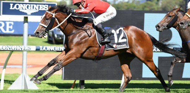 Horse Racing Big Collects, Bets and Moves – Saturday’s Races 16/1/2021