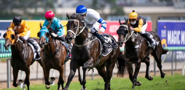 Shaquero to be aimed at the Golden Slipper