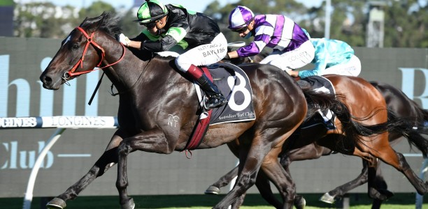 Private Eye to be aimed at the $7.5m Golden Eagle