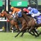 All Star Mile plans for The Harrovian