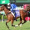 Godolphin galloper the red hot Australia Stakes favourite